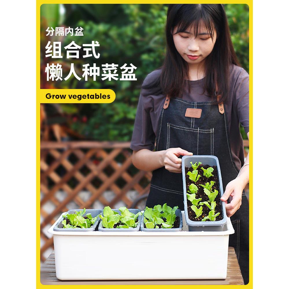 家庭蔬菜种植盆种菜箱多层种菜盆阳台菜架子种植箱方形长条花盆