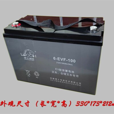 理士叉车电池6-EVF-100免维护动力电池