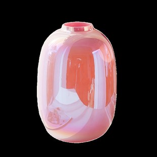 高级感简约花瓶客厅摆件玻璃水养雪柳马醉木南天竹吊钟落地装饰品