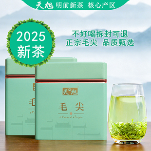 天旭毛尖茶绿茶叶2025新茶嫩芽鲜叶口粮茶明前罐装信阳250g半斤