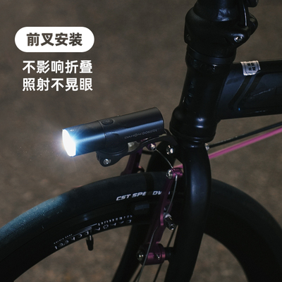 dahon大行自行车夜骑灯骑行前灯公路车单车前叉夜间照明灯p8p10d6