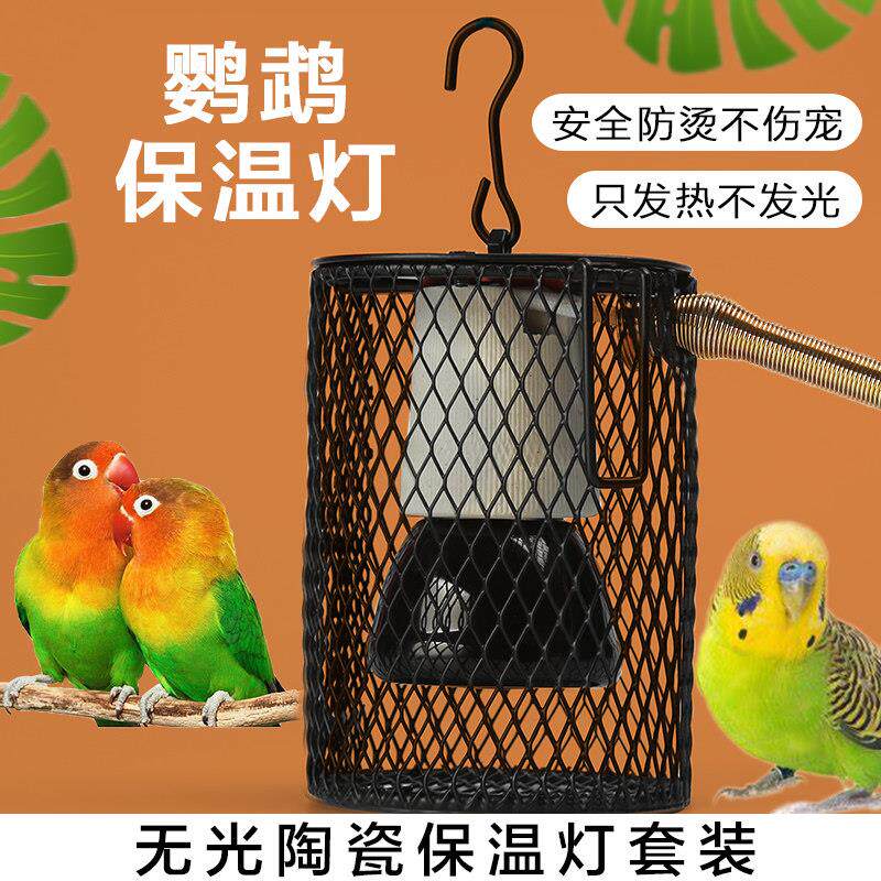 鹦鹉保温灯宠物专用保暖取暖陶瓷灯蜜袋鼯恒温器鸟笼防烫网加热器