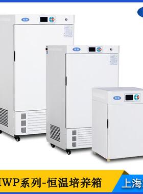 HWP-9012细菌微生物恒温箱实验室小型电热恒温培养箱
