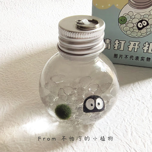 海藻球微景观生态瓶水培创意礼物