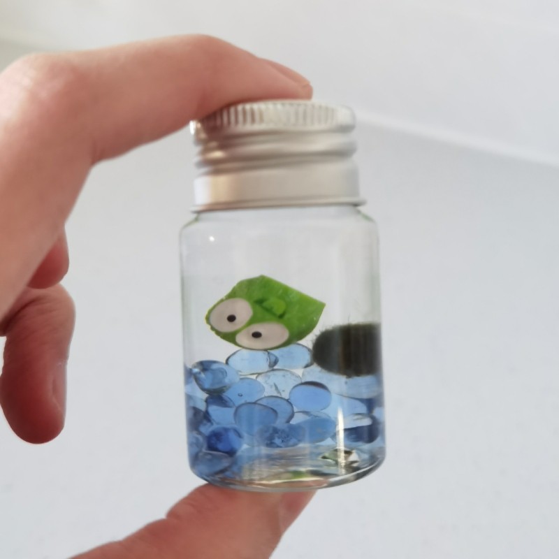 情绪植物学生桌面小宠物海藻球随身瓶迷你生态瓶趣味儿童节小礼物,鲜花速递/花卉仿真/绿植园艺,情绪植物,淘宝优惠券,粉丝福利购,淘宝优惠卷