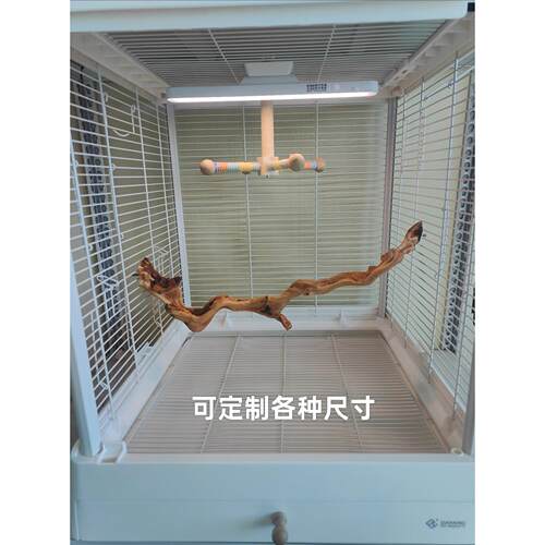 定制尺寸鹦鹉站杆站架双头固定达洋鸟笼60475001天然原木实木树枝