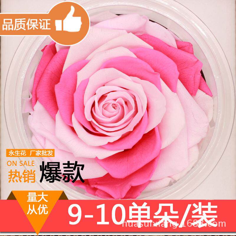 永生花玫瑰花材A级9-10cm单支玫瑰花配材七夕情人节生日礼盒配花