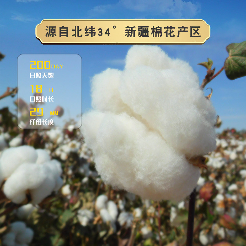 新疆棉被纯棉花被子保暖加厚棉絮一级长绒棉可定做棉花床垫褥子,床上用品,棉花被,淘宝优惠券,粉丝福利购,淘宝优惠卷