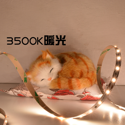 Ra98高显色护眼灯带 无主灯线形灯光源 宿舍DIY神器 3500K4500K