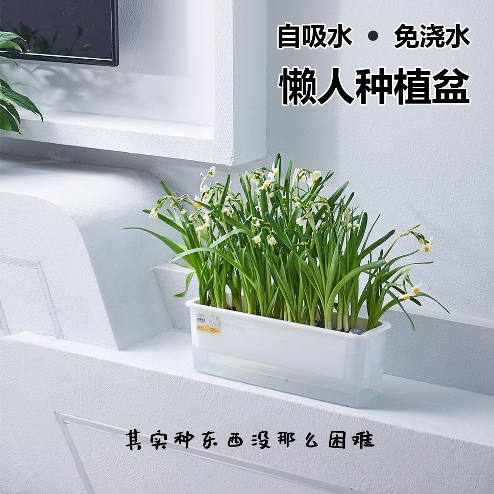 桌面纯白迷你塑料花盆自吸水小型家庭阳台长方形自栽简约种植多肉