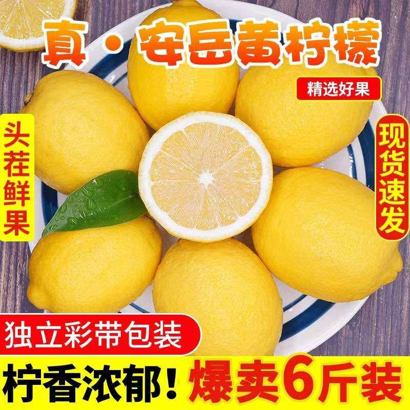 四川安岳柠檬黄柠檬 产地直发泡水地理标志柠檬茶青柠产地直供