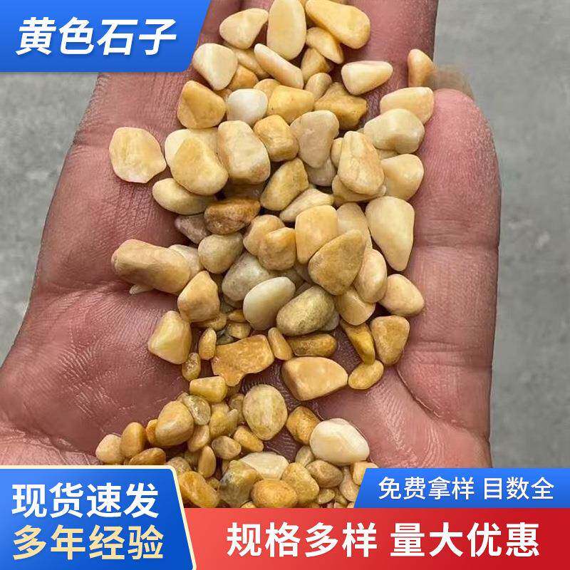 现货黄色石子黄色米园艺铺面鱼缸造景天然透水路面垫石