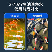 鱼池过滤器水循环净化系统室外庭院底滤滴流大水泵不锈钢过滤设备