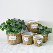 田园草编花盆藤编竹编花篮花器多肉绿植插花摆件装 饰壁挂手工编织