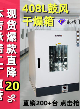 高鑫定制电热鼓风干燥箱小型工业用恒温烤箱烘箱高温低温直供厂家