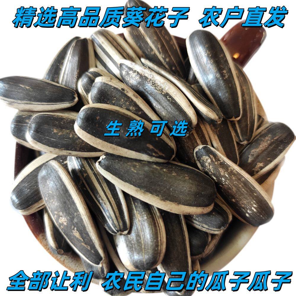 【生熟可选】内蒙新货瓜子葵花籽特价大颗粒瓜子原味炒熟散装批发
