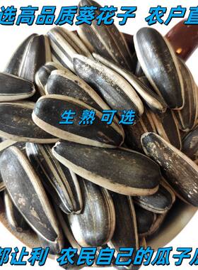 大颗粒原味瓜子净重新鲜批发价