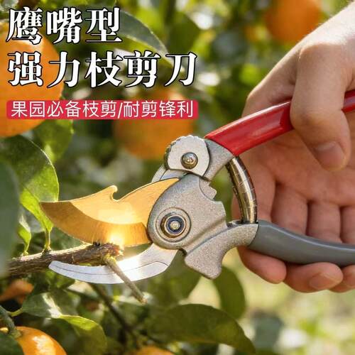 剪枝剪刀园艺剪树枝果树果枝修枝剪花剪园林花艺强力省力粗枝剪子