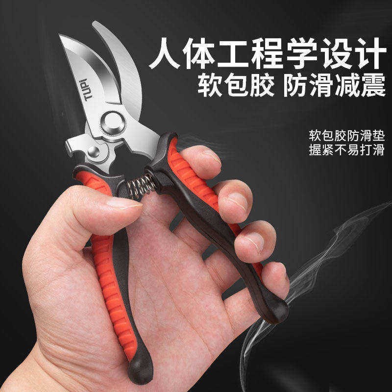 剪刀修枝剪果树剪枝专用SK5不锈钢树枝修剪园艺工具剪花艺强力图片