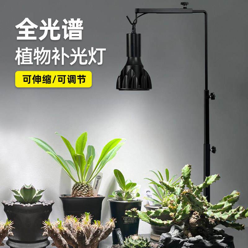 全光谱植物生长灯桌面台式小型盆景盆栽龙舌兰块根仙人球补光灯