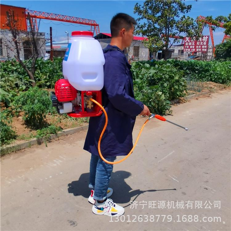 背负式汽油喷雾器 电动风筒打药机 气溶胶高压消毒打药机