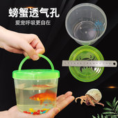 手提塑料乌龟缸金鱼缸透气宠物盒透明运输盒龟盒小鱼桶耐摔款 蟹桶