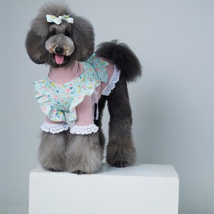 裙子图纸侧绑带可爱系带裙模板 宠物裙子纸样狗狗西施巨贵泰迪短款