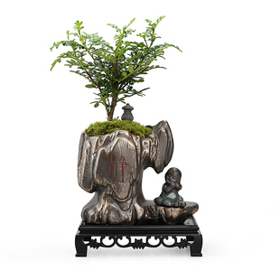 飘枝小叶黄杨清香木花盆绿植盆景室内办公室驱蚊植物常青装饰摆饰