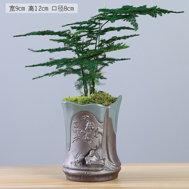 创意绿植文竹盆景植物家用个性办公室内盆栽陶瓷花盆客厅摆件装饰