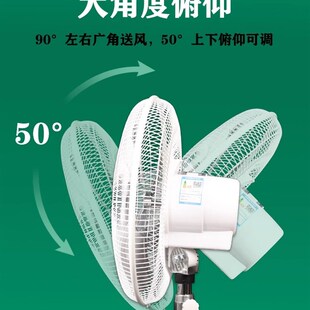 金羚落地扇强力机械大功率工业电风扇家商用摇头大风力16/18/20寸
