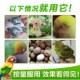 鹦鹉蛋黄粉鸟用玉鸟蛋黄颗粒玄凤虎皮牡丹鹦鹉营养品补充繁殖鸟食