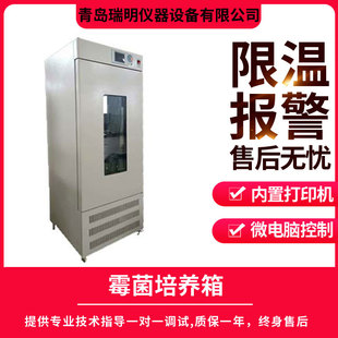 霉菌培养箱细菌微生物恒温实验室智能生化控温