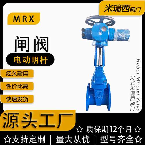 电动明杆闸阀软密封闸阀球墨铸铁材质工厂河北Z941X-10/16Q