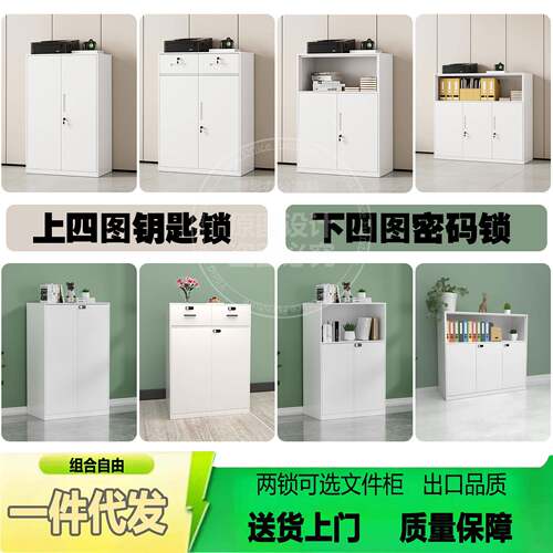 白色办公文件柜双门带锁储物柜阳台收纳柜钢制矮柜简约加厚铁皮柜