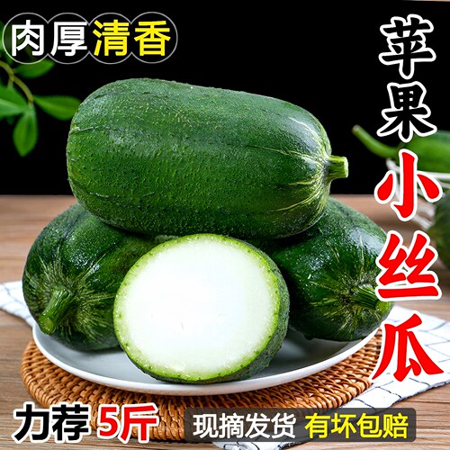 苹果丝瓜5斤装现摘新鲜产地直发
