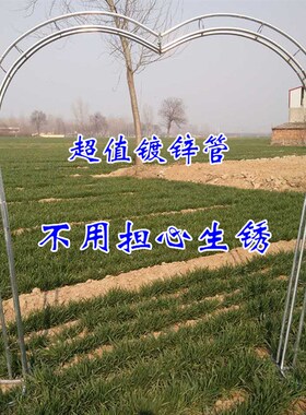 铁艺拱门可拆卸心形婚庆架子户外花园爬藤架白色鲜花花架可定制