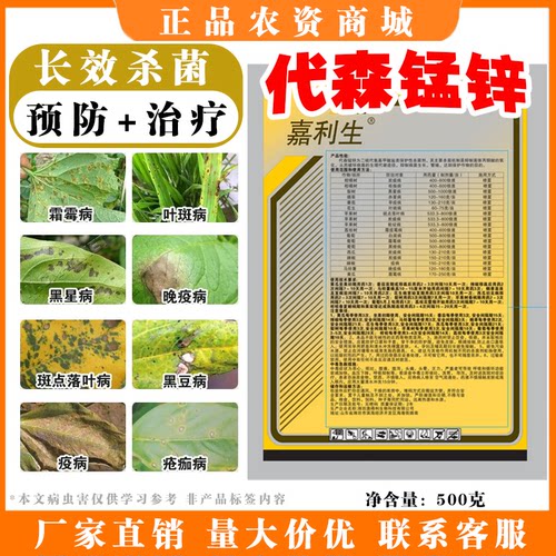 80%代森锰锌杀菌剂早疫炭疽