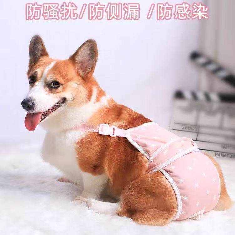 狗狗专用防挣脱生理裤