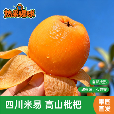 攀枝花米易甜枇杷当季新鲜水果香甜多汁孕妇儿童现摘树上熟整箱