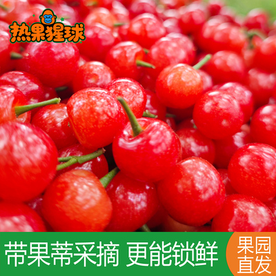 攀枝花米易小樱桃顺丰包邮