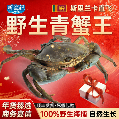 斯里兰卡野生海捕鲜活青蟹王