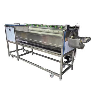 大型毛辊清洗机手剥笋春笋鲜毛笋洗姜机毛刷清洗机