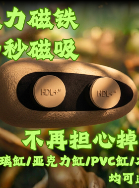 爬宠躲避屋磁吸辅助蜕皮睫角守宫老爷树蛙爬架树栖造景悬浮吸盘