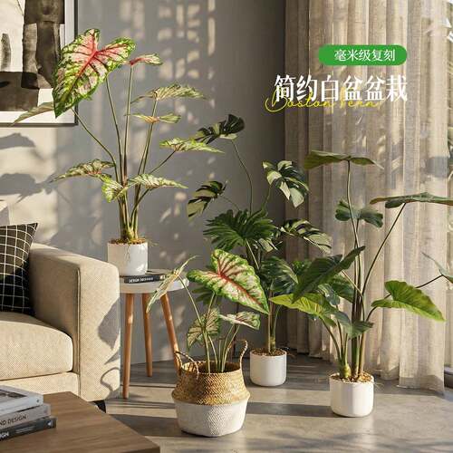 仿真龟背竹植物仿生绿植盆栽室内客厅造景装饰摆件假花树家居装扮