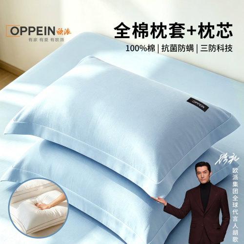 胡歌同款长绒棉枕套和枕芯