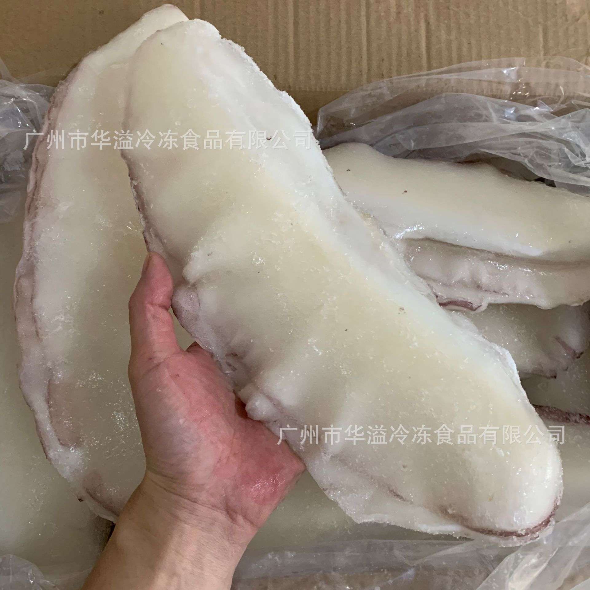 冷冻墨鱼边 带冰20斤/件6成货 生冻墨鱼裙边 鱿鱼边