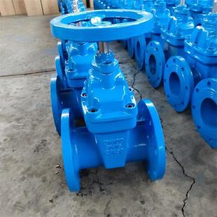 管道上下水软密封阀门新标法兰大体闸阀DN100-16Z45XZ41X闸阀开关