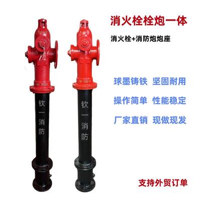 消火栓栓炮一体SSFTW防