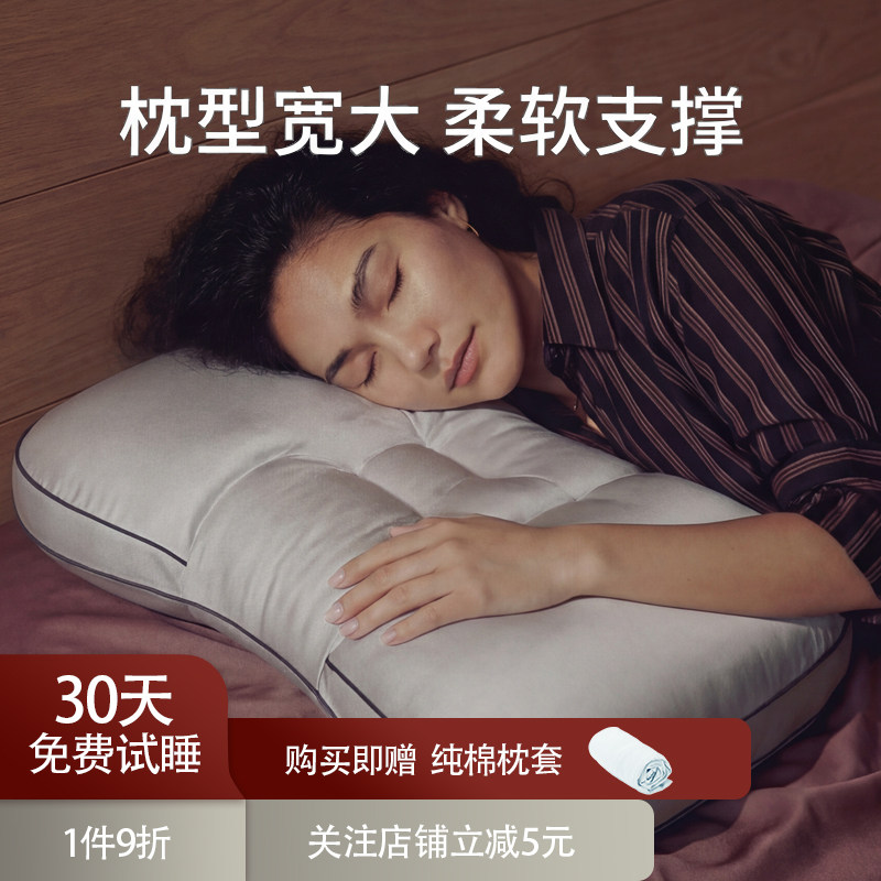 KINGCO/京彩家居可机洗护颈枕宽大成人枕软管分区枕头整枕深睡枕