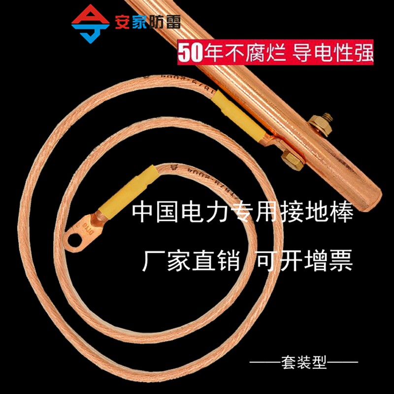 带线铜包钢接地棒镀铜防雷防静电避雷接地桩接地针电力家用工厂